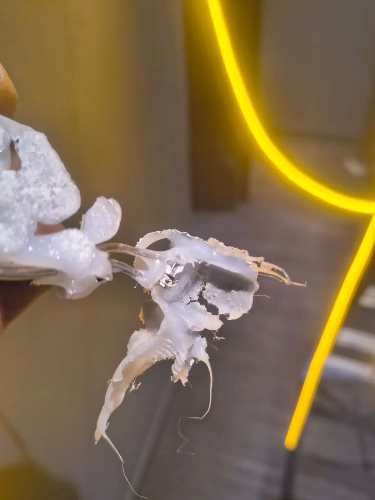 WhatsApp Image 2026-03-01 at 12.43.04 (1)