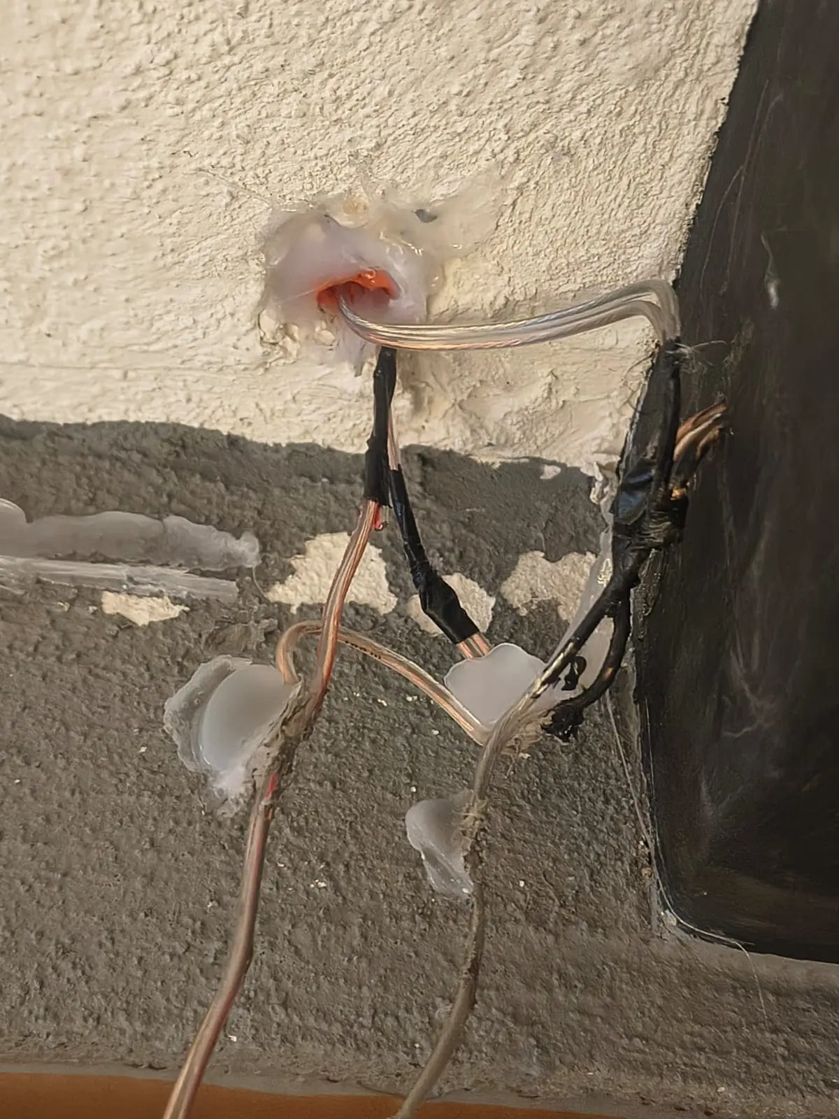 WhatsApp Image 2026-03-01 at 12.43.04