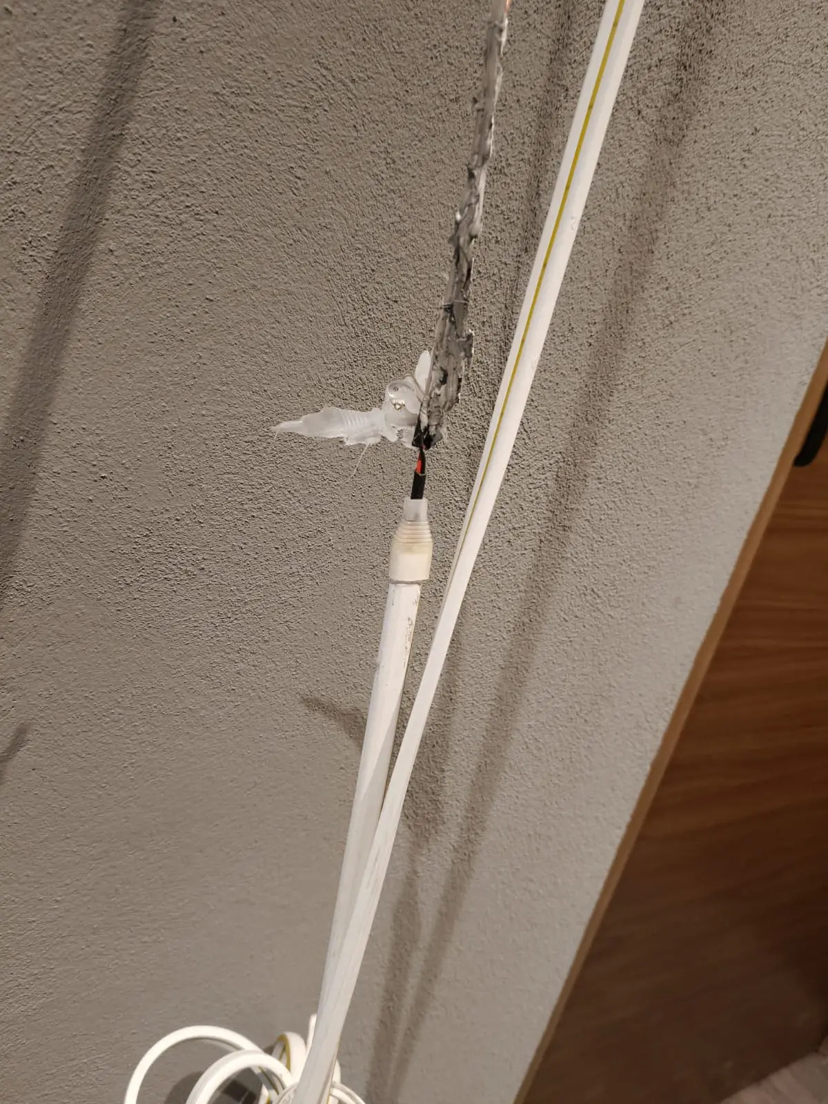 WhatsApp Image 2026-03-01 at 12.43.05