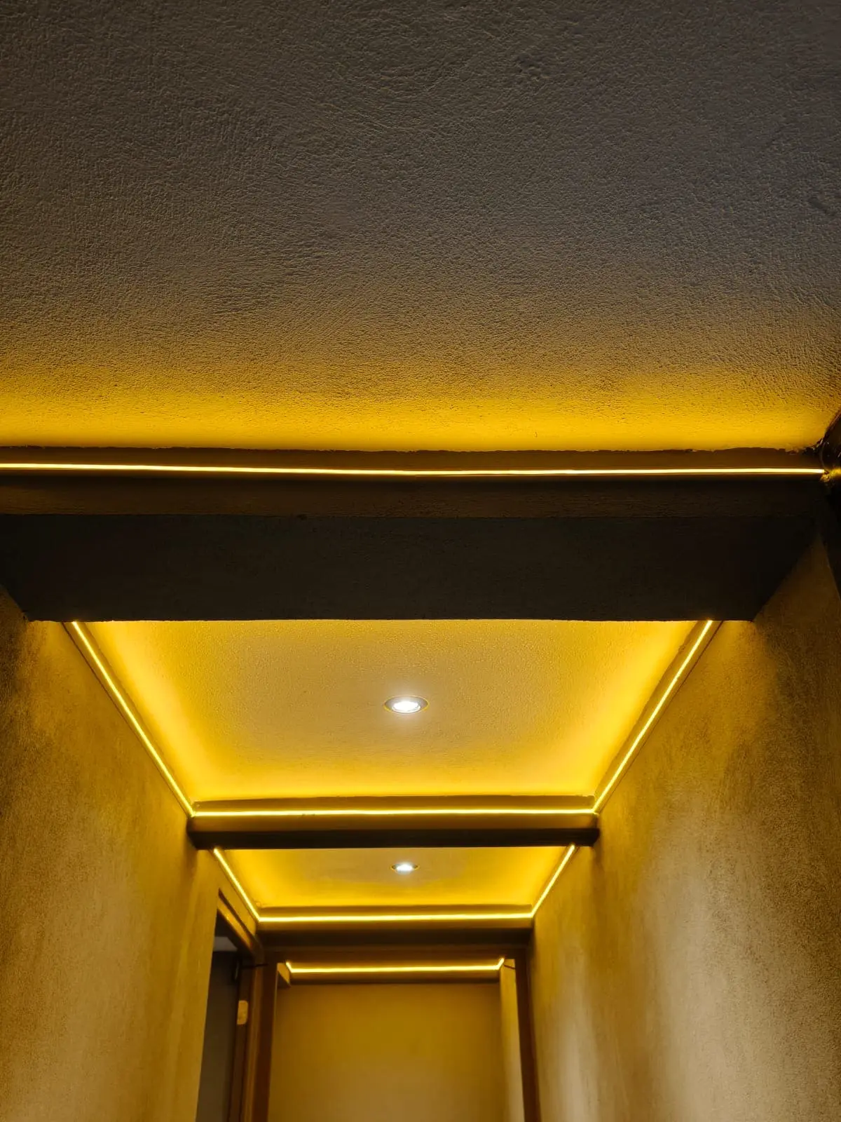 WhatsApp Image 2026-03-01 at 14.49.44